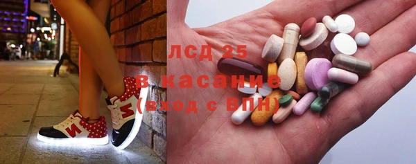 ПСИЛОЦИБИНОВЫЕ ГРИБЫ Болхов