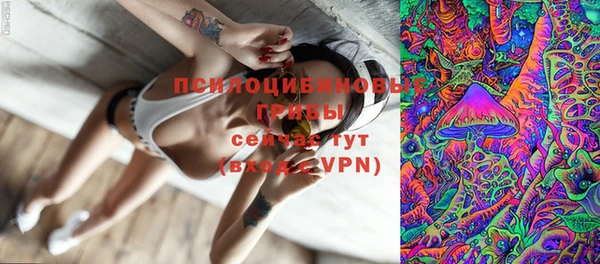 стаф Нягань