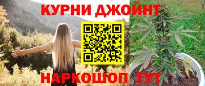 индика Беслан