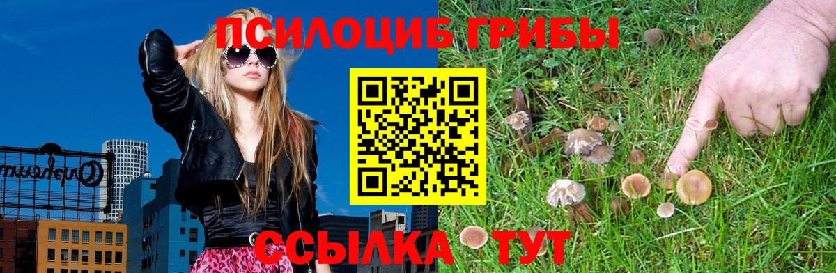 Галлюциногенные грибы Magic Shrooms Энгельс