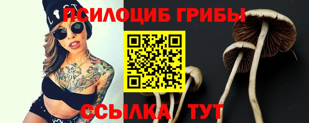 Галлюциногенные грибы MAGIC MUSHROOMS Энгельс